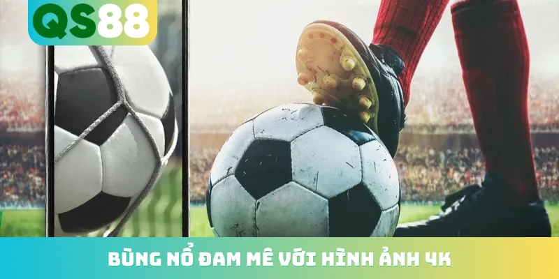 Bùng nổ đam mê với hình ảnh 4K